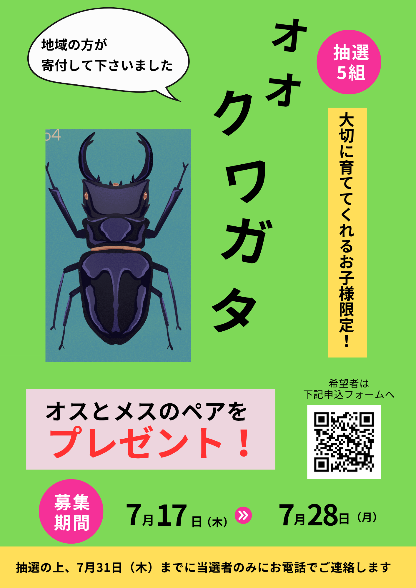 【夏休み企画】オオクワガタをプレゼント♪