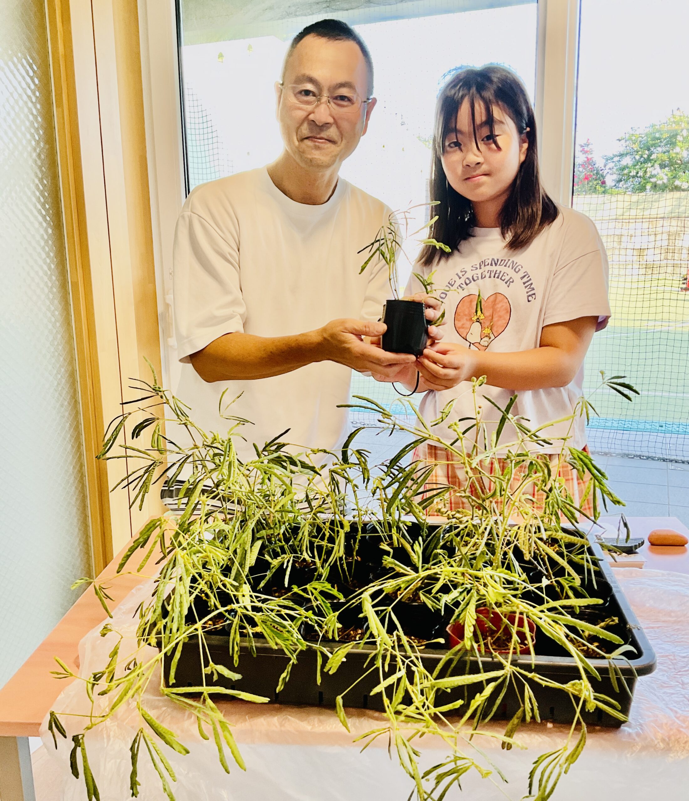 白浜町の鈴木さん親子から【おじぎ草】を寄付いただきました！