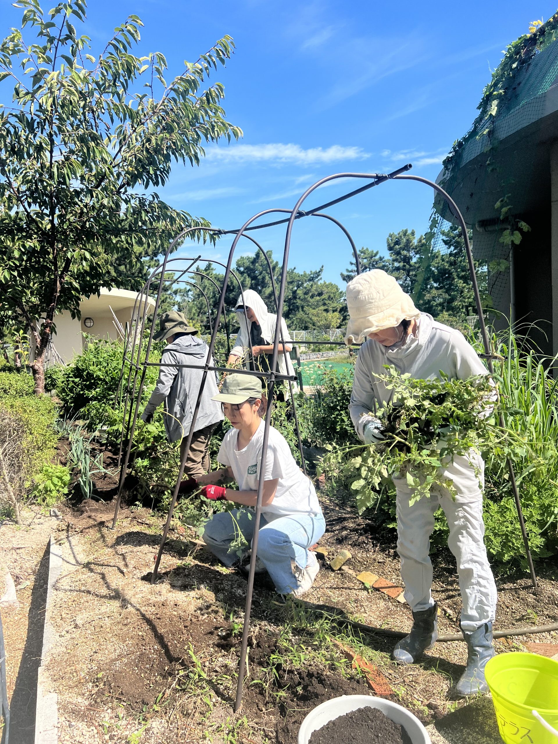 野菜の栽培を通じて地域交流しませんか？「はまかぜ菜園」の2026年度メンバー（2期生）を募集！